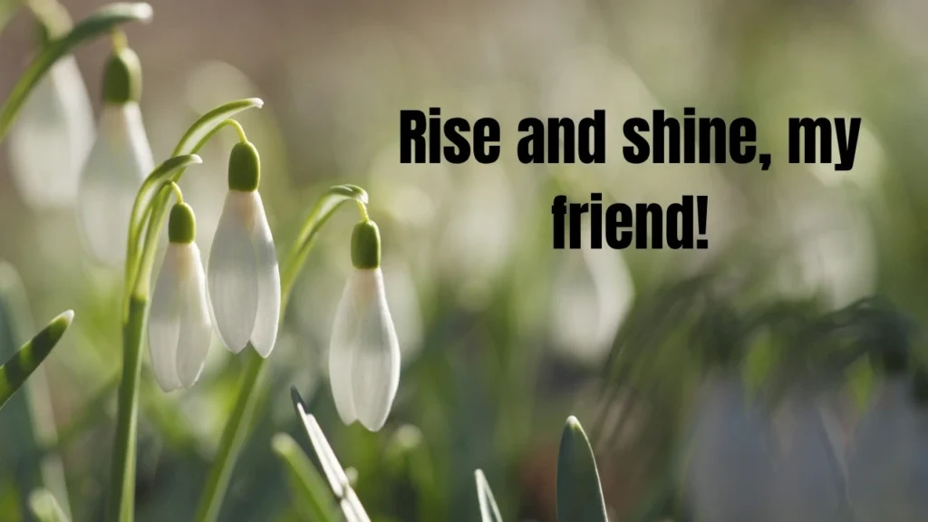 130 Sweet "Good Morning" Messages To Start Their Day