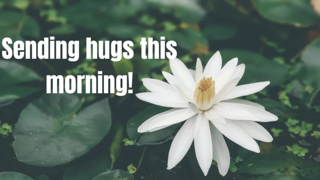 140 Good Morning Quotes & Texts to Give Your Day a Bright Start