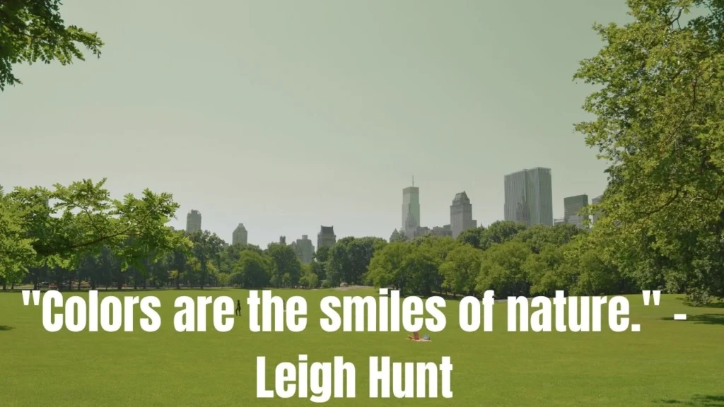 Wednesday Quotes to Help You Power Through the Mid-Week Slump