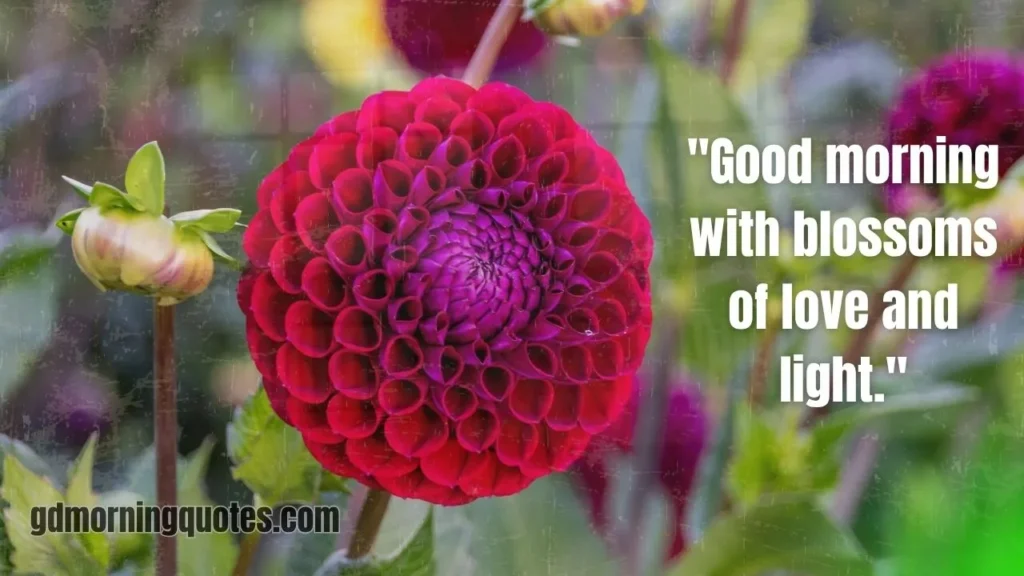 40+ Best Good Morning Quotes with Flowers to Brighten Your Day