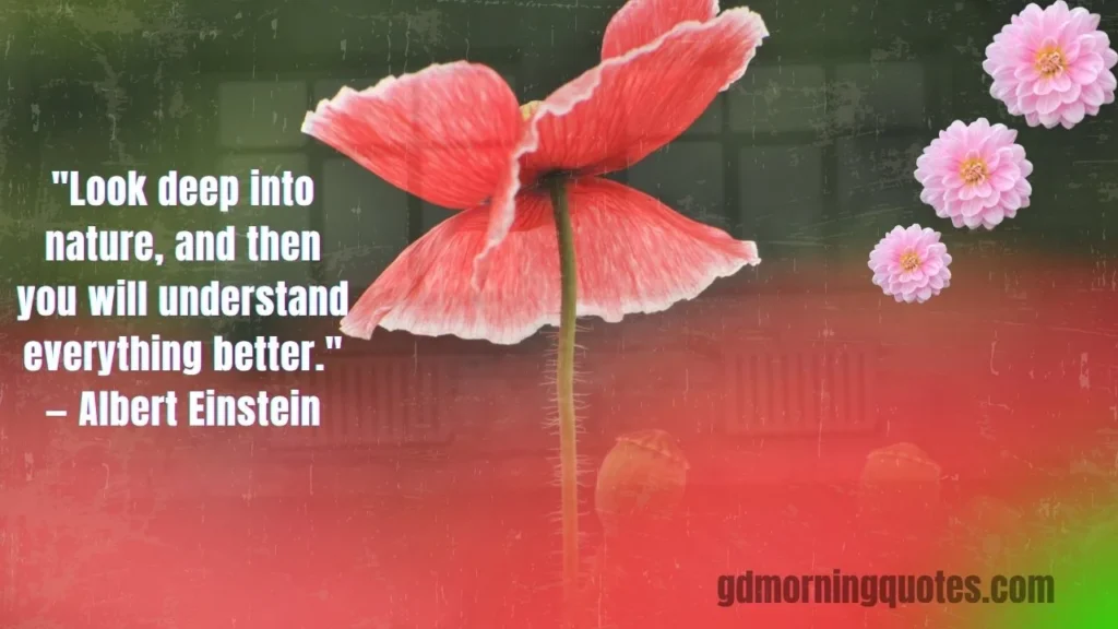 105 Good Morning Nature Quotes to Start Your Day with Peace and Inspiration