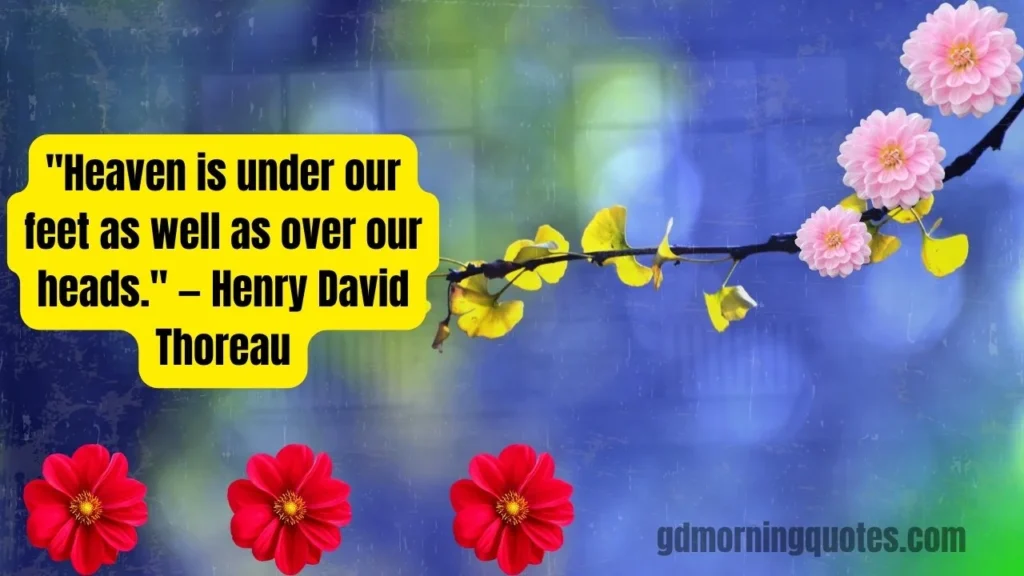 105 Good Morning Nature Quotes to Start Your Day with Peace and Inspiration