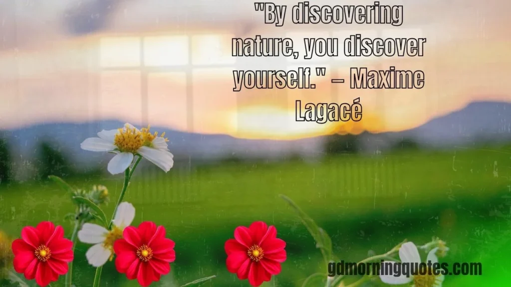 105 Good Morning Nature Quotes to Start Your Day with Peace and Inspiration