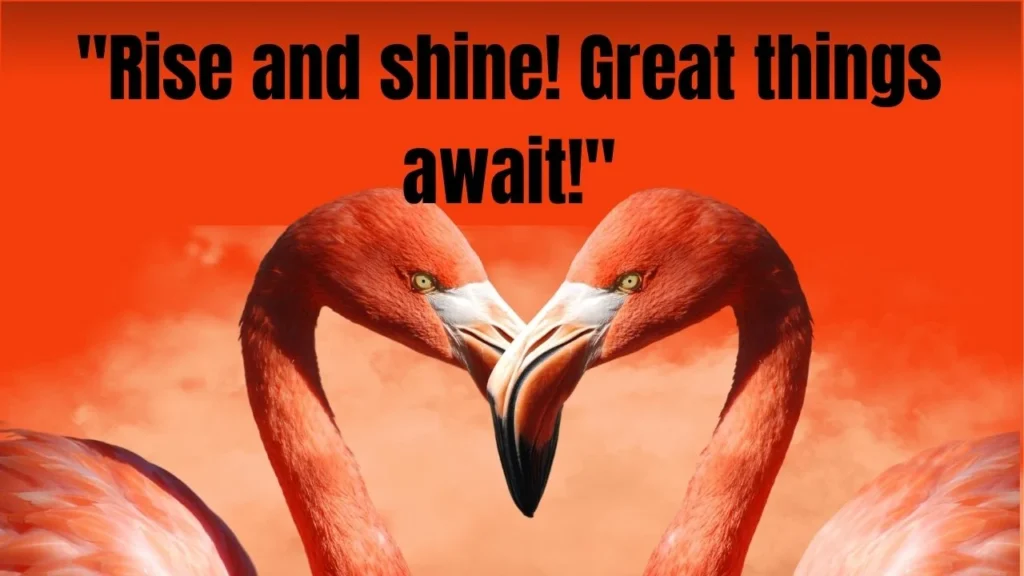 160 Heartfelt & Short Good Morning Wishes for Brother