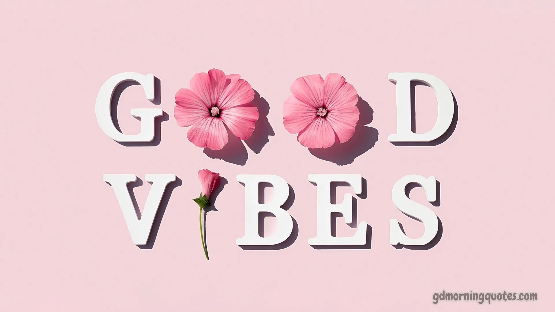 125 Inspirational Good Morning Quotes to Start Your Day Right