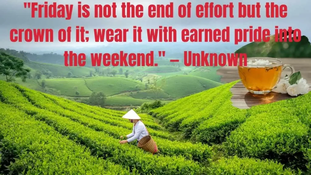 Good Morning Friday Quotes Ready For The Weekend