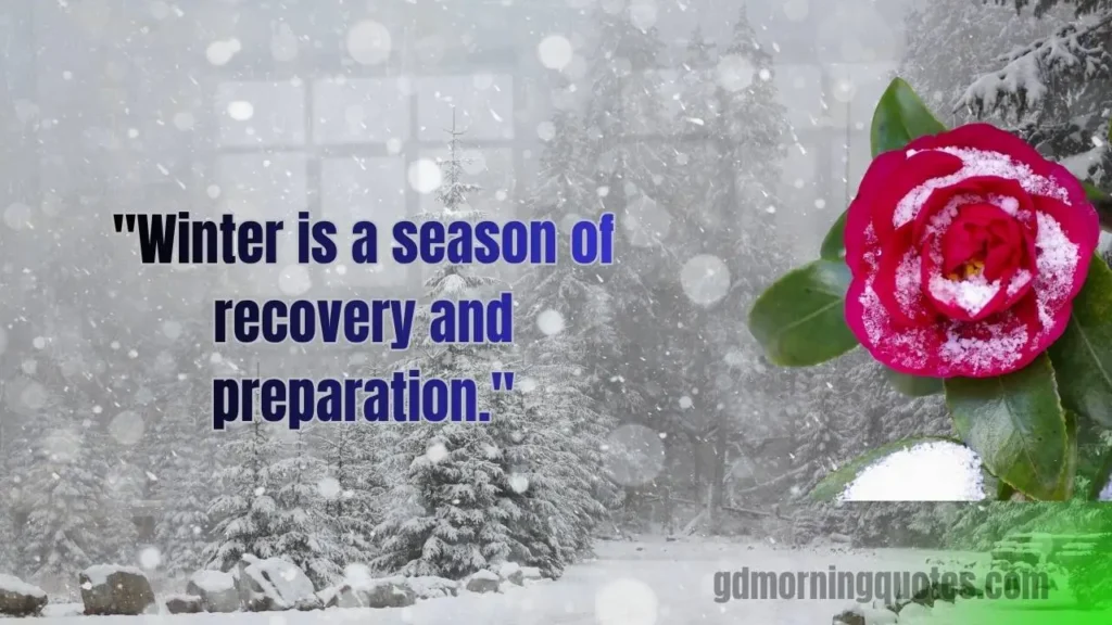 100+ Good Morning Quotes for Winter to Brighten Your Cold Mornings