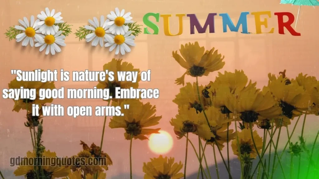 60+ Good Morning Quotes for Summer to Brighten Your Day
