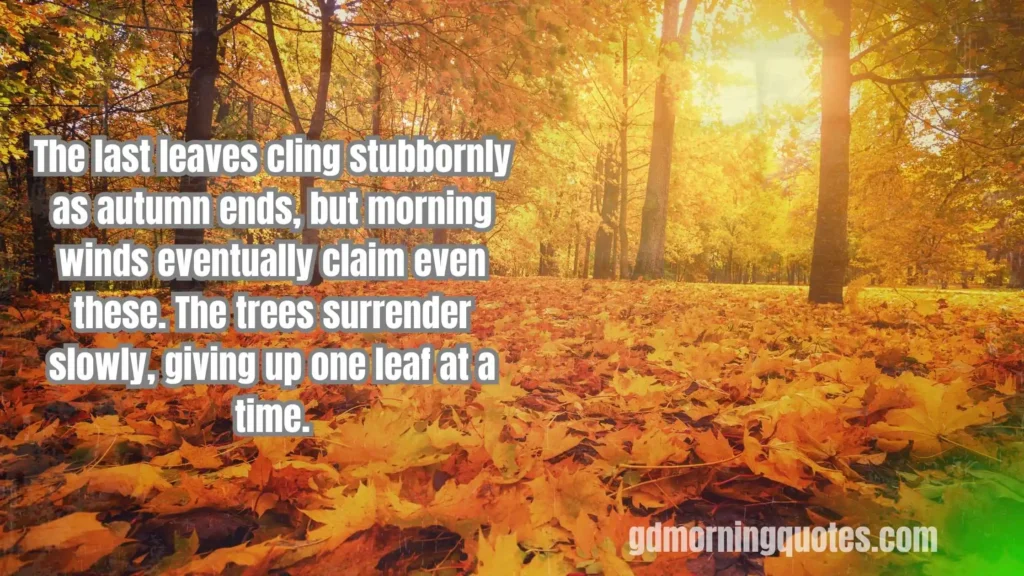 260+ Good Morning Quotes About Seasons and Nature's Beauty