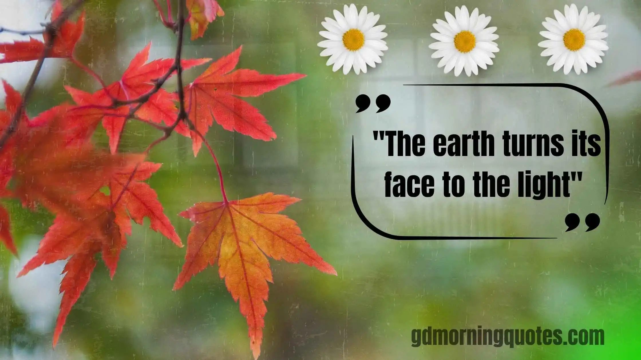 260+ Good Morning Quotes About Seasons and Nature's Beauty