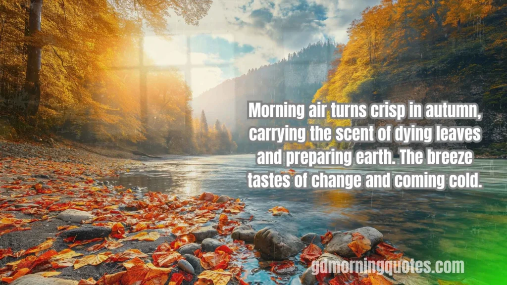 260+ Good Morning Quotes About Seasons and Nature's Beauty