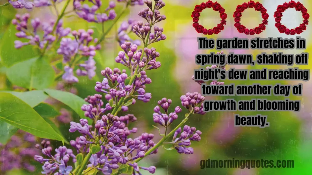 260+ Good Morning Quotes About Seasons and Nature's Beauty