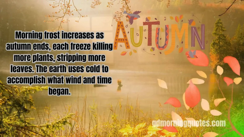 260+ Good Morning Quotes About Seasons and Nature's Beauty