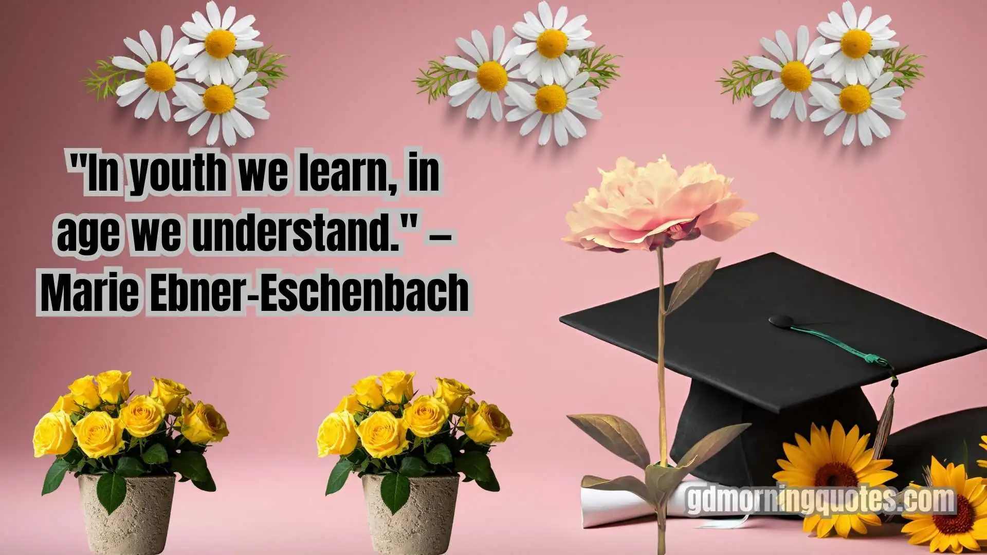 85+ Wise and Thoughtful Good Morning Quotes About Life Lessons