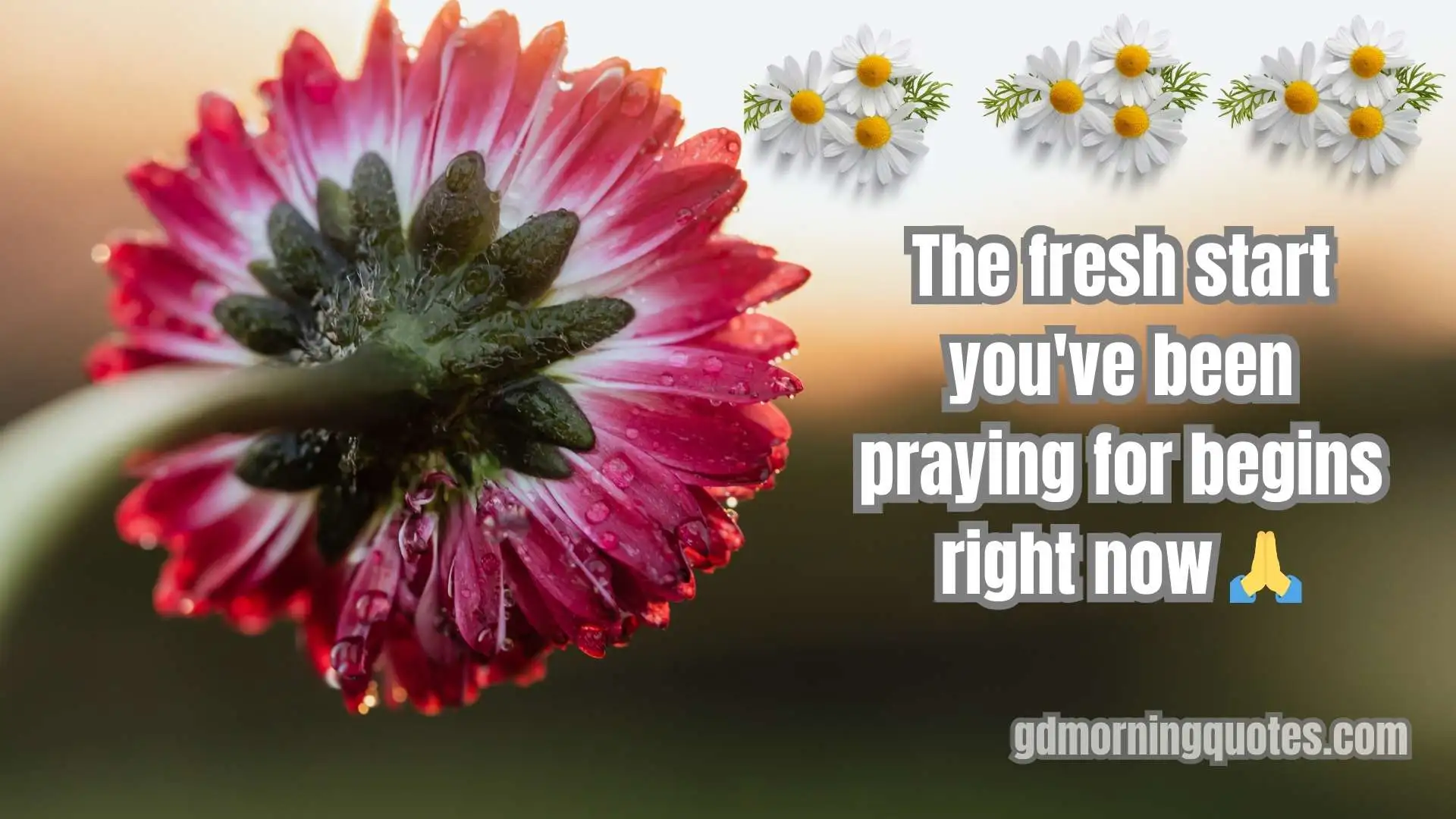 🌞 180+ Special Meaningful Good Morning Quotes to Brighten Every Morning in 2025 ✨☕