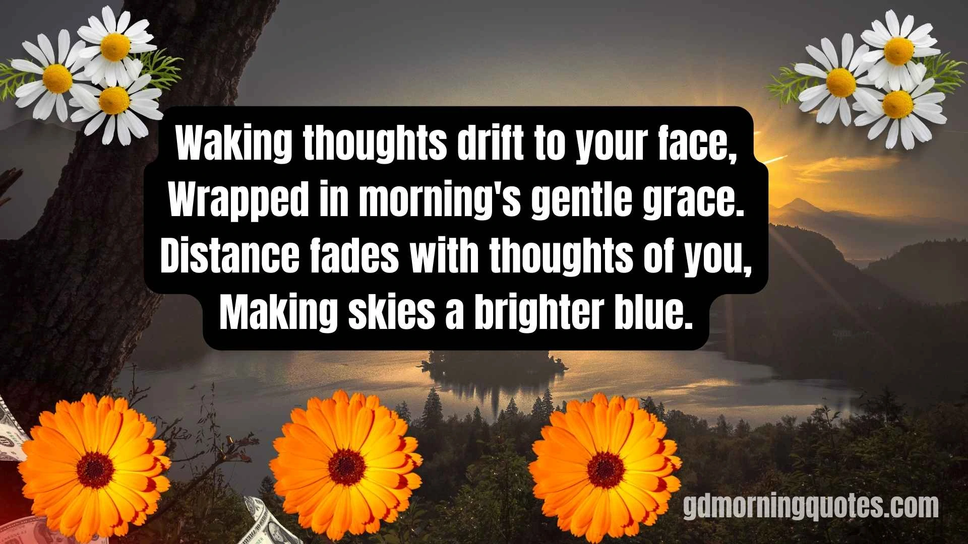 100+ Heartwarming Good Morning Poems to Brighten Your Day
