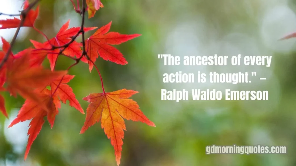 85+ Wise and Thoughtful Good Morning Quotes About Life Lessons