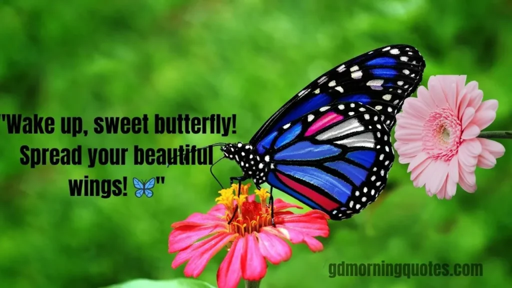 Wake Up to Wonder: 65+ Good Morning Quotes for Kids to Start Their Day Right