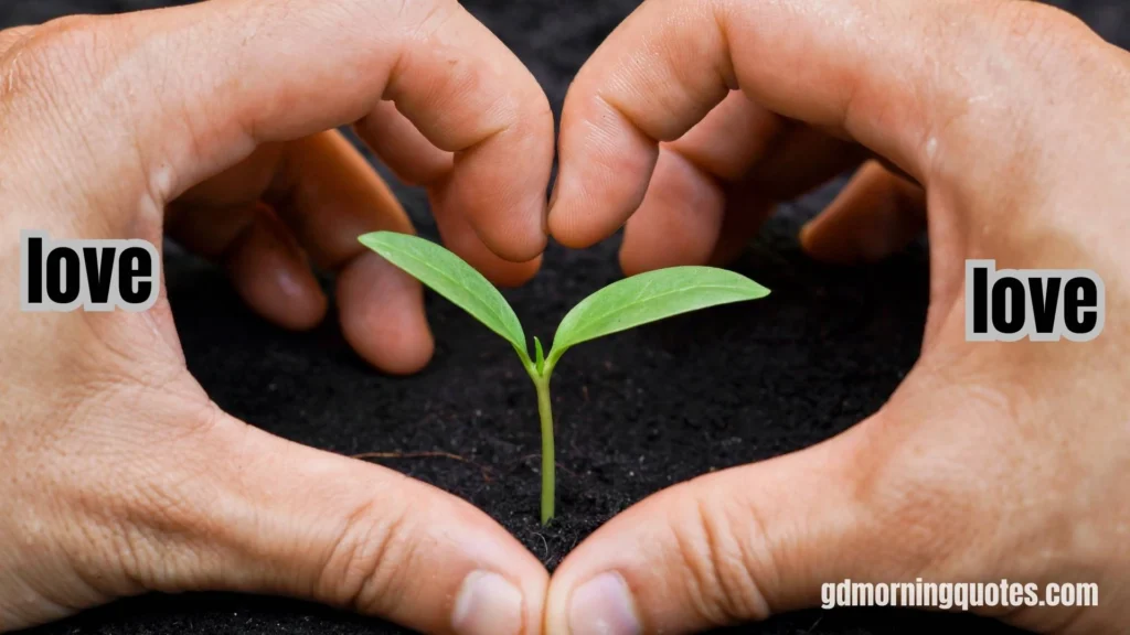 70 Sweet & Subtle Good Morning Poems for Your Crush to Win Their Heart