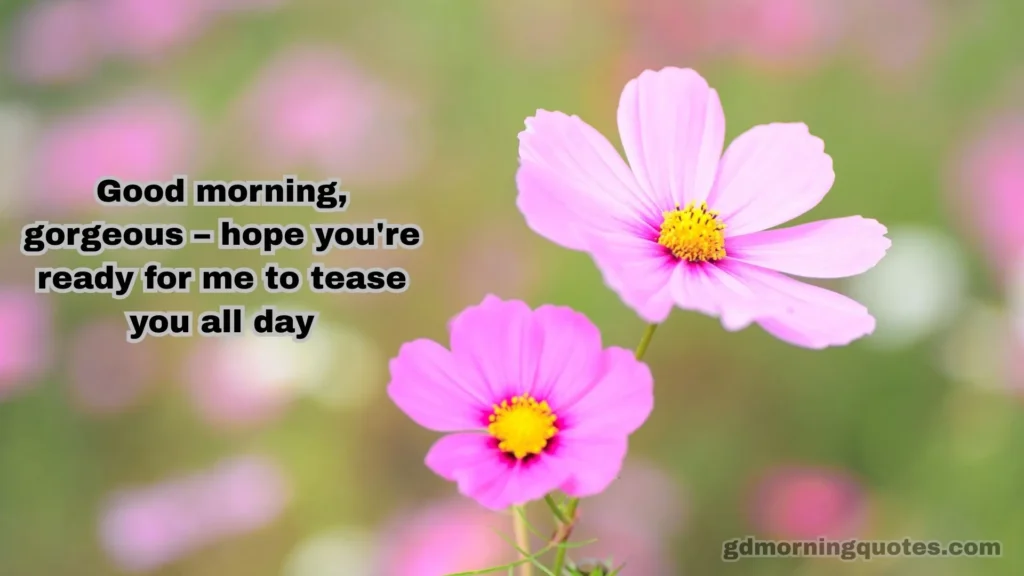 60 Sexy & Playful Good Morning Messages for Your Partner