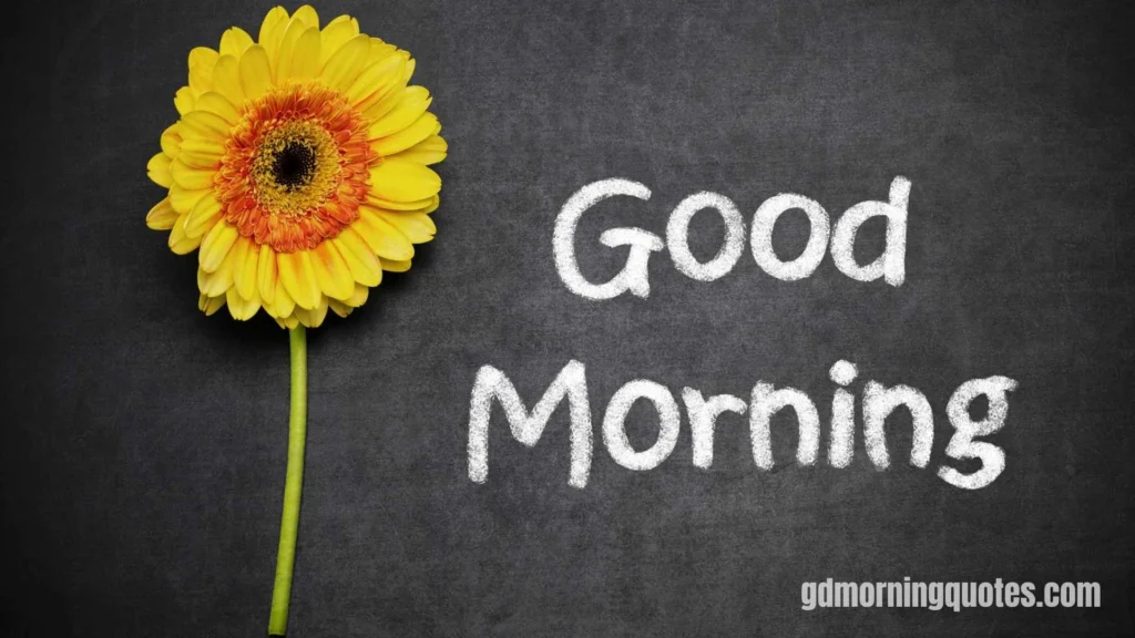 50 Good Morning Poems to Make Her Smile (Sweet, Emotional & Heart-Touching)