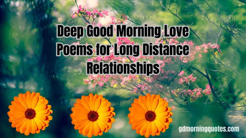 75 Romantic Good Morning Poems for Your Wife or Girlfriend to Start Her Day with Love