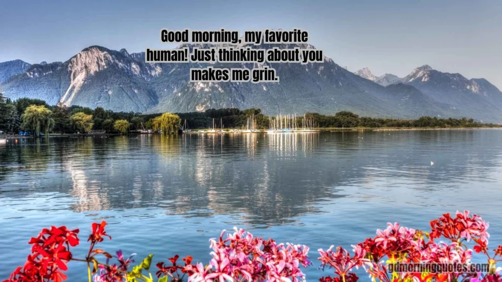 130+ Good Morning Message For Him To Make Him Smile All Day