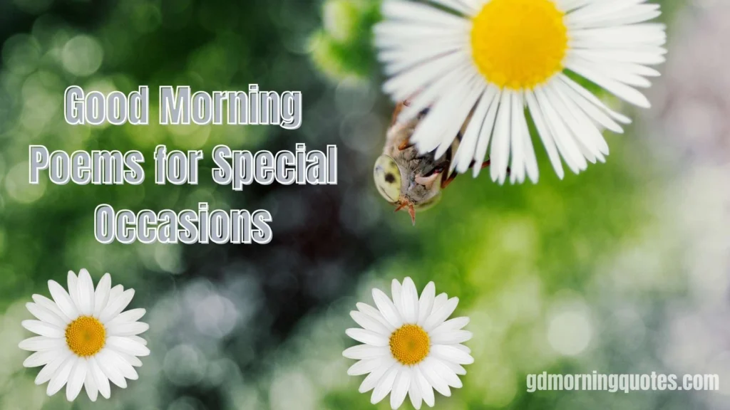 50 Good Morning Poems to Make Her Smile (Sweet, Emotional & Heart-Touching)