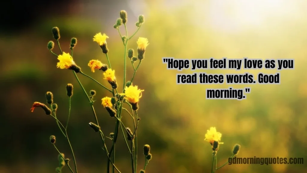 105 Beautiful Good Morning Messages for Her to Make Her Smile