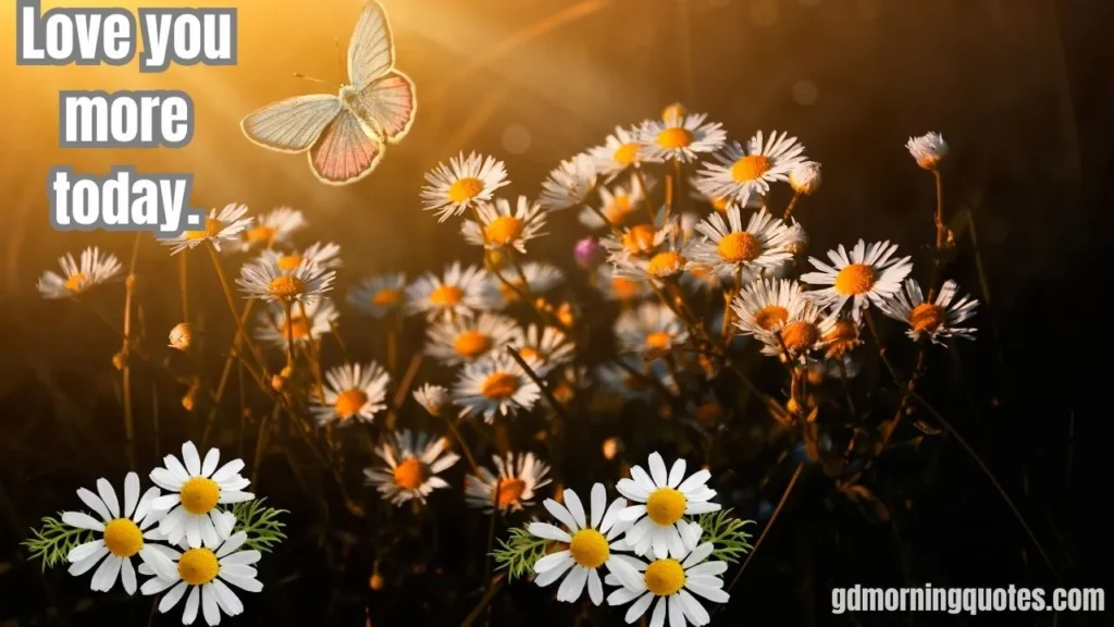 130+ Romantic Good Morning Messages for Your Wife to Start Her Day with Love