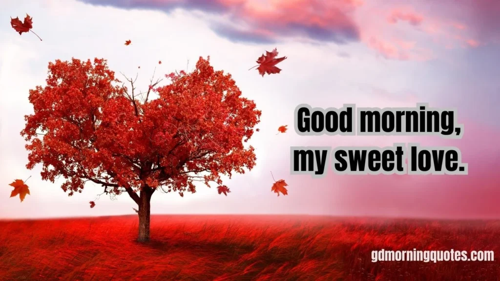 100 Long Romantic Good Morning Messages for Her to Start Her Day with Love