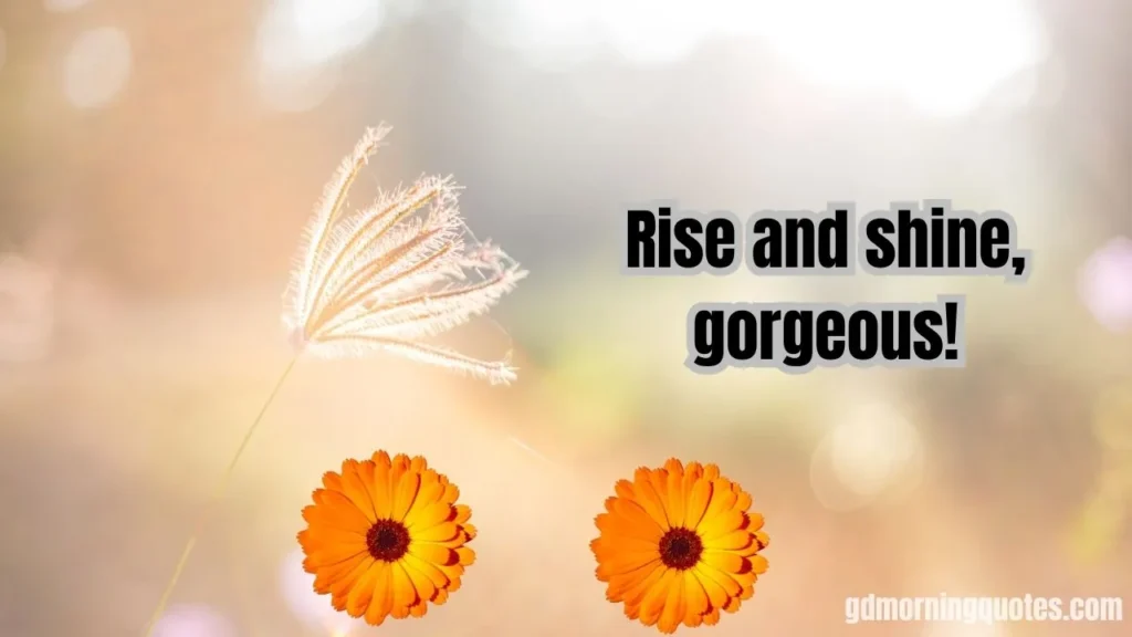 130+ Romantic Good Morning Messages for Your Wife to Start Her Day with Love