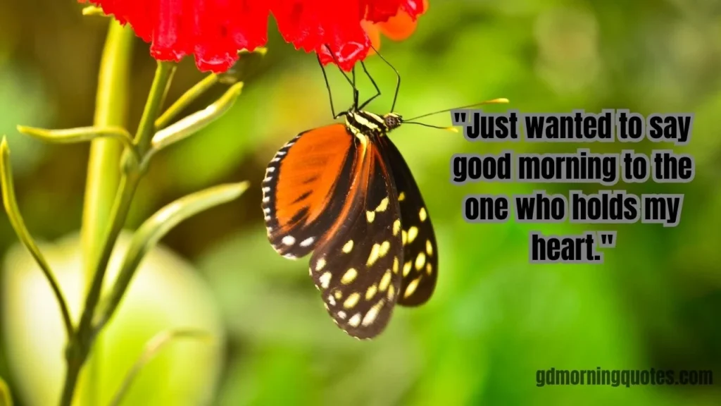 105 Beautiful Good Morning Messages for Her to Make Her Smile