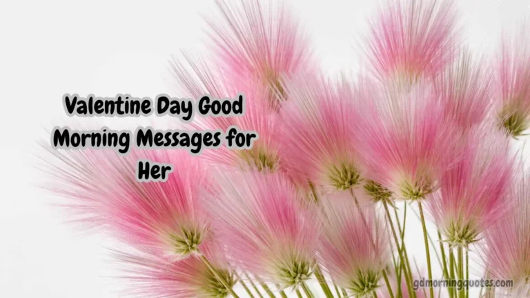 50+ Valentine Day Good Morning Messages for Her