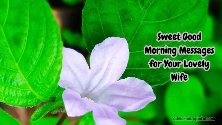 50 Sweet Good Morning Messages for Your Lovely Wife
