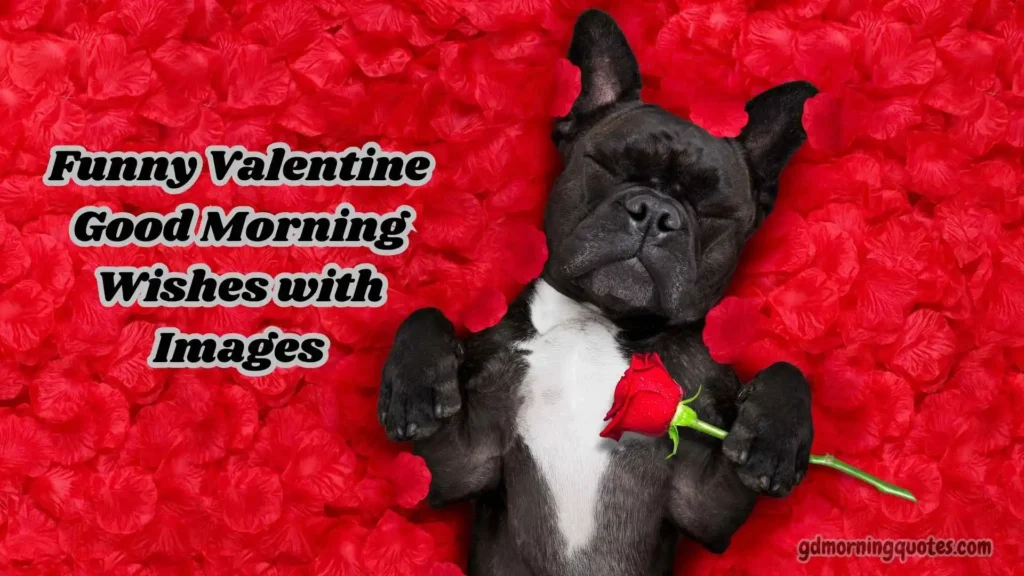 Funny Valentine Good Morning Wishes with Images