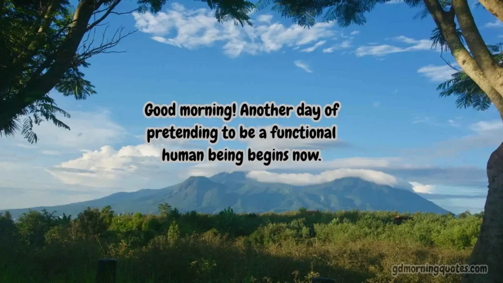 Silly and Sarcastic Good Morning Texts