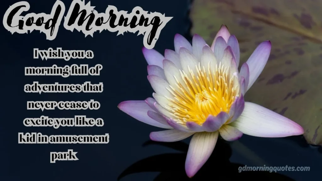 Cute & Beautiful Good Morning Messages with Images for 2026