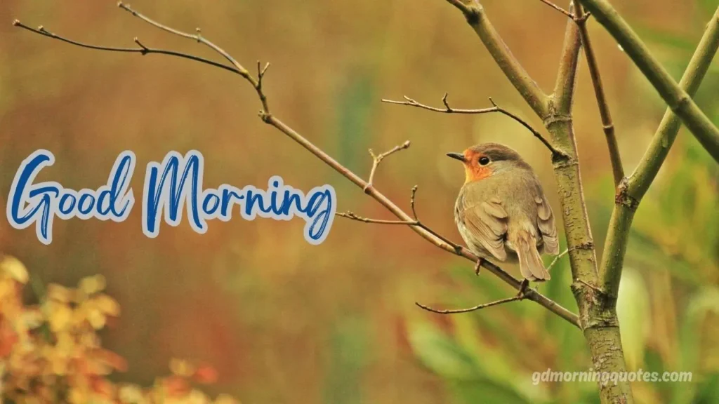 Cute & Beautiful Good Morning Messages with Images for 2026