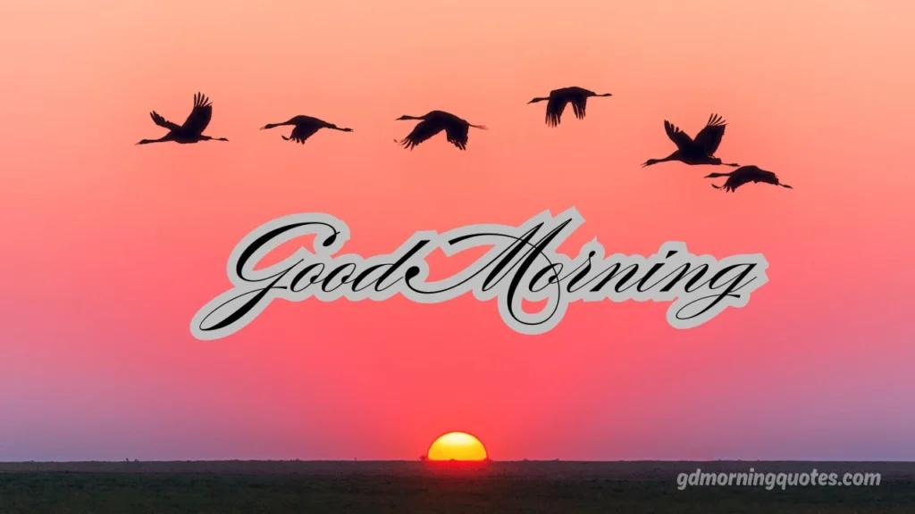 Beautiful Good Morning Images with Love Messages