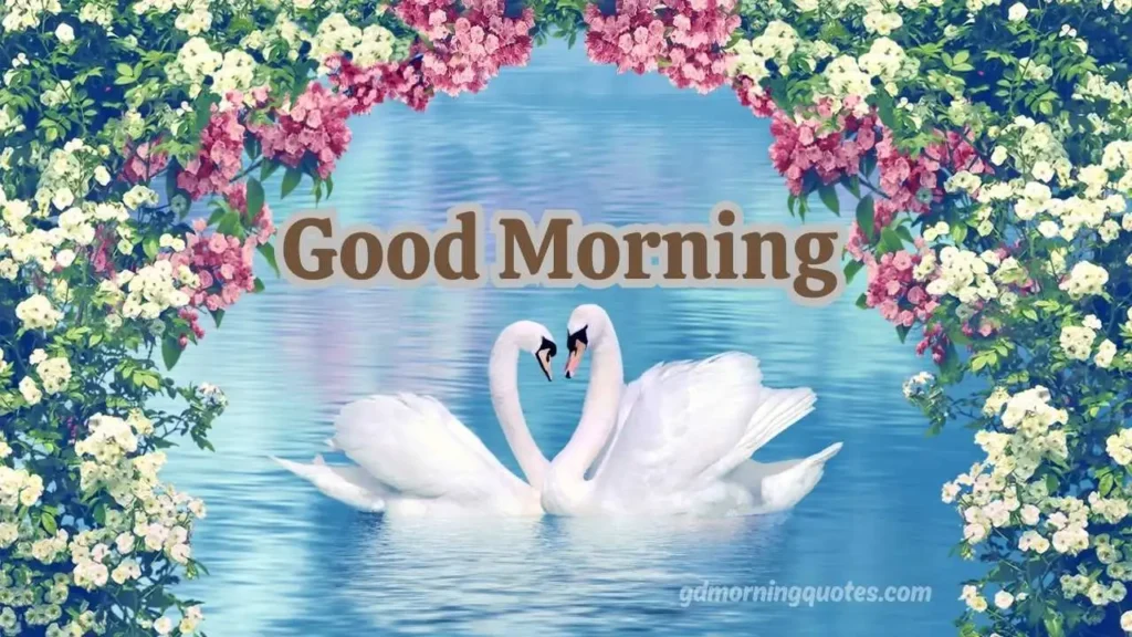 Beautiful Good Morning Images with Love Messages