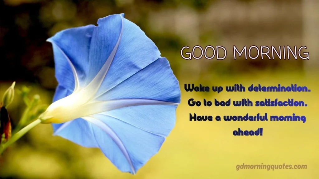 Beautiful Good Morning Messages with Images for Family