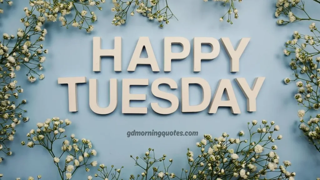 Good Morning Messages for Tuesday