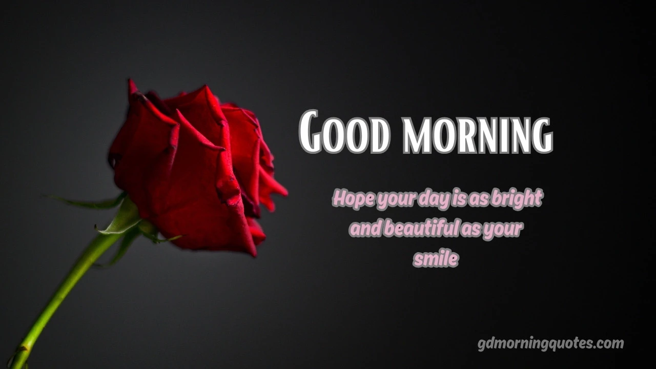 130 Good Morning WhatsApp Messages with Pictures to Brighten Someone's Day
