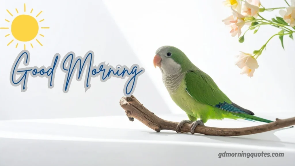 Cute & Beautiful Good Morning Messages with Images for 2026