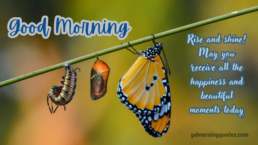 Cute & Beautiful Good Morning Messages with Images for 2026