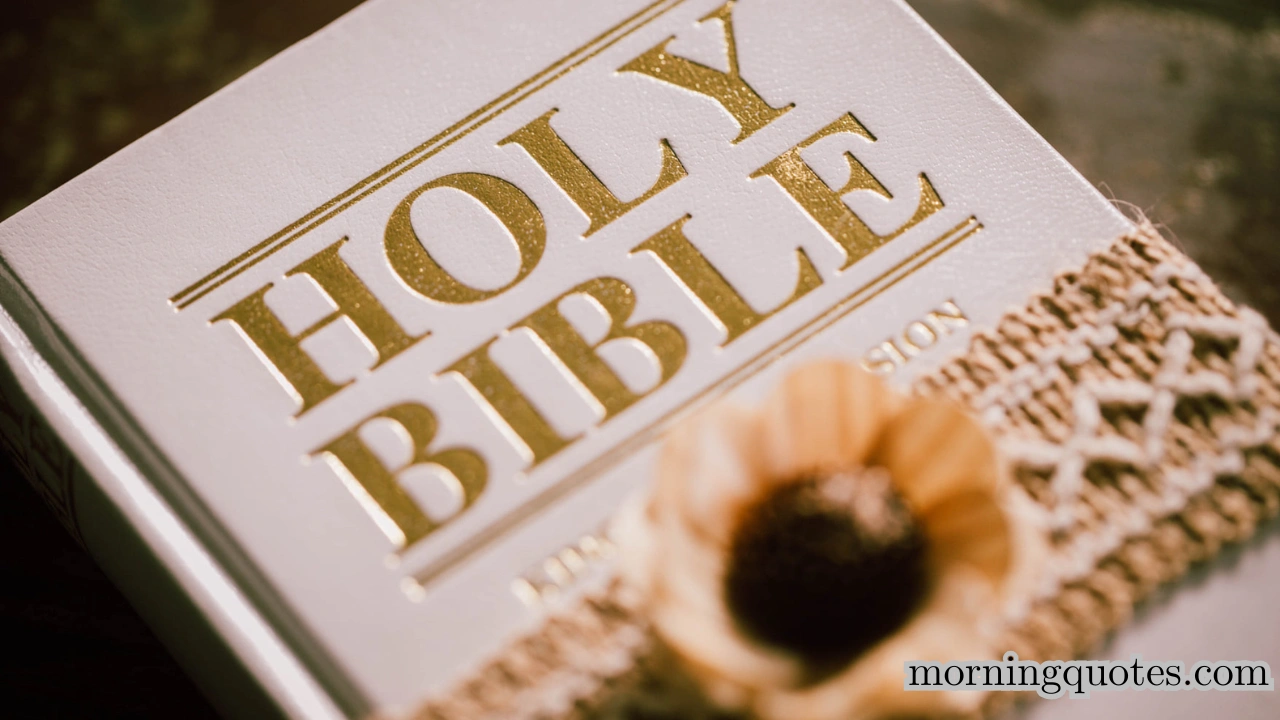 302 Positive Bible Verse Good Morning Blessings GIFs for Daily Faith