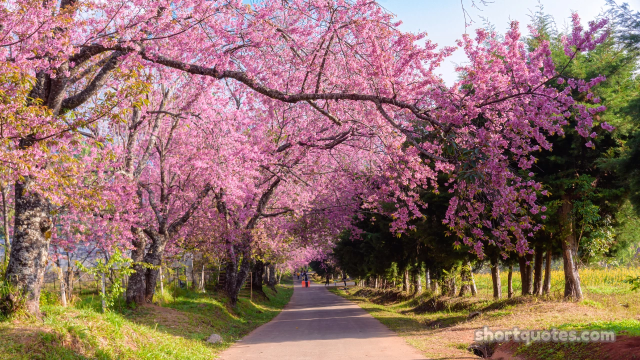 212 Good Morning Blessings Quotes to Start Your Day with Positivity