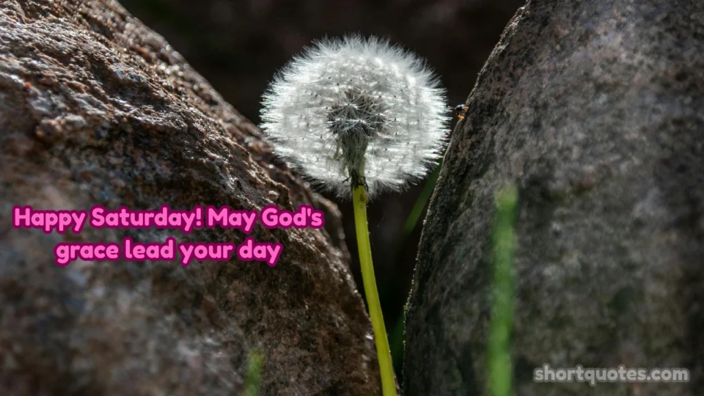 Positive Good Morning Saturday Blessings to Start Your Weekend Right