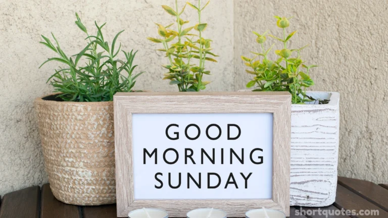 152 Sunday Morning Blessings to Start Your Day with Peace